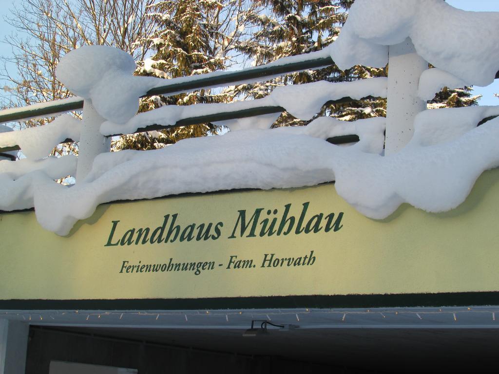 Apartment Landhaus Muehlau In Tirol Erpfendorf Ngoại thất bức ảnh